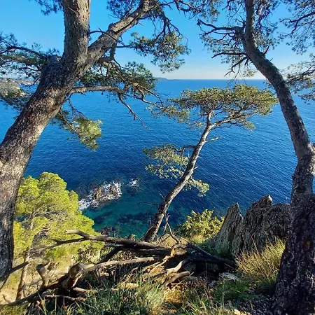 Apartmán Charmant Studio Au Mourillon, A 100m De La Plage ! *