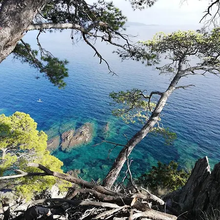 Charmant Studio Au Mourillon, A 100m De La Plage ! *